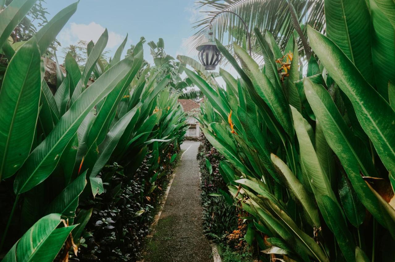Anggira Villa Ubud Zewnętrze zdjęcie
